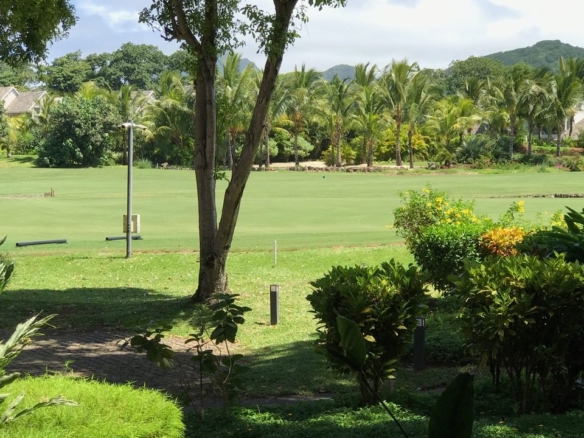 ||||||||||||||||||||||||