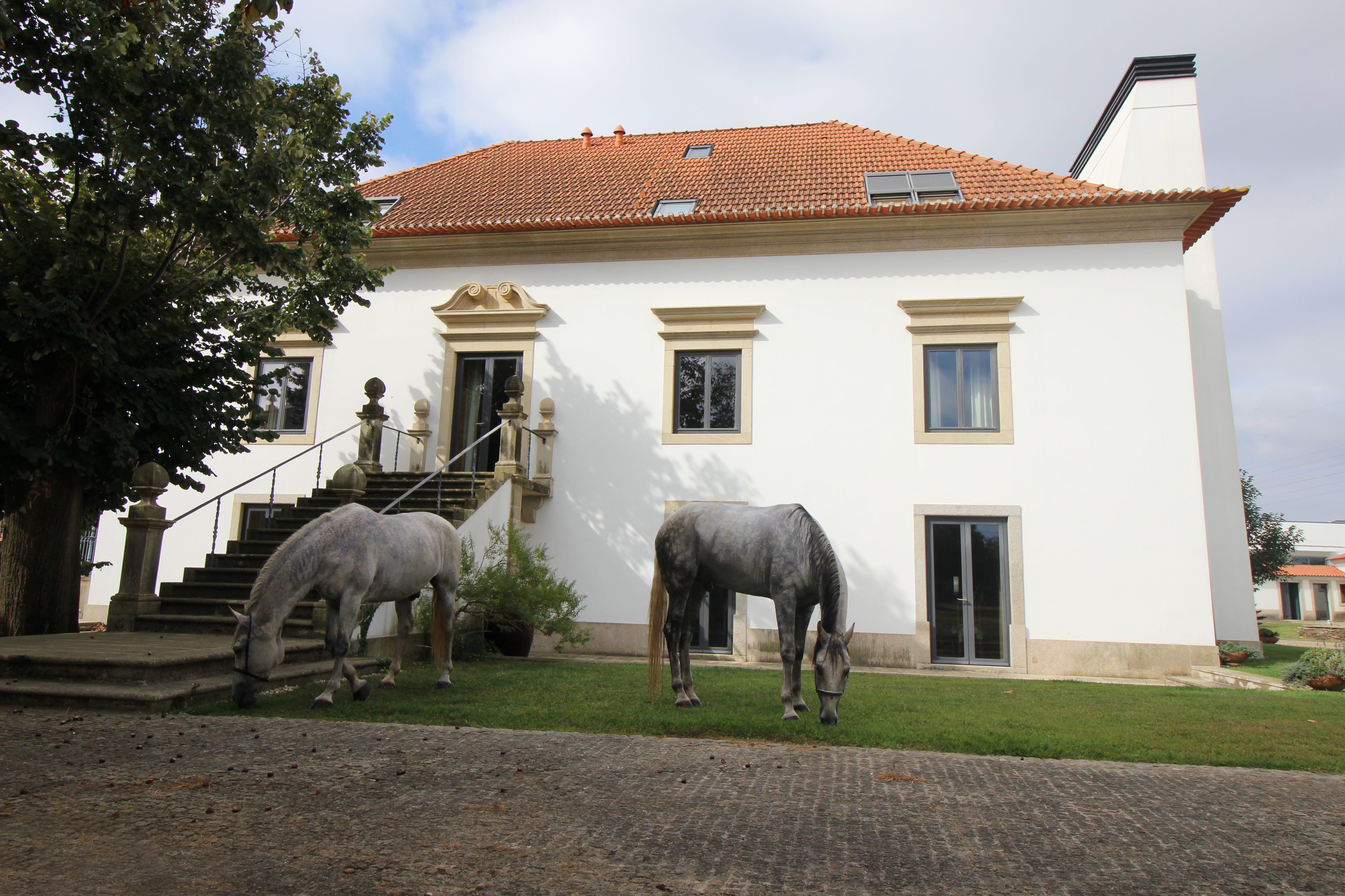 Magnifique complexe Quinta da Aldeia Portugal, à vendre !