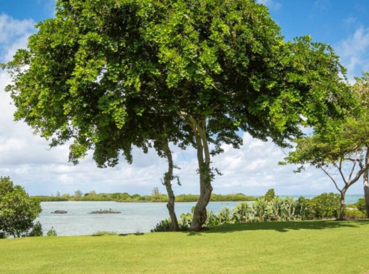 Île Maurice | Four Seasons Private Residence 5 chambres Villa avec plage privée