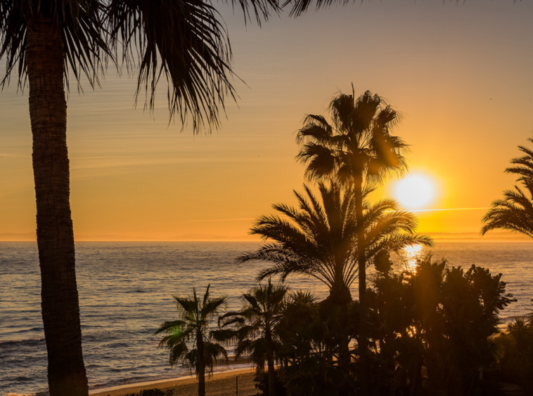 Penthouse exceptionnel en bord de mer à Marbella,