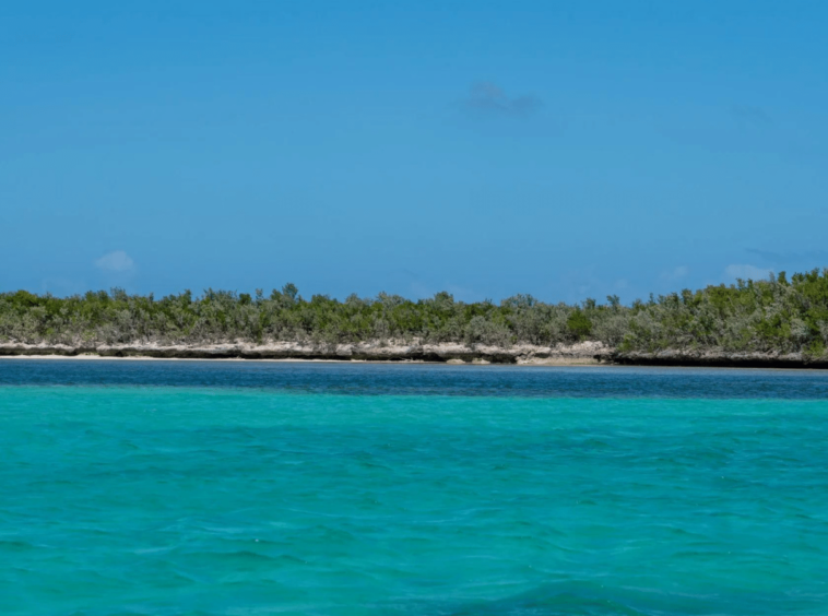 Little Ragged Island Île aux Bahamas