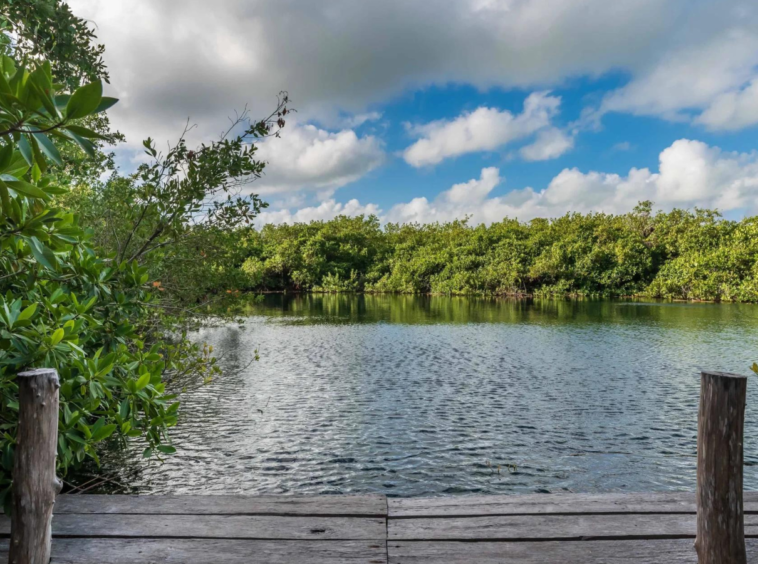 Villa de luxe rustique et centre de bien-être, Tulum, Mexique