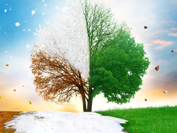 Quelle est la meilleure saison pour vendre son bien ? 