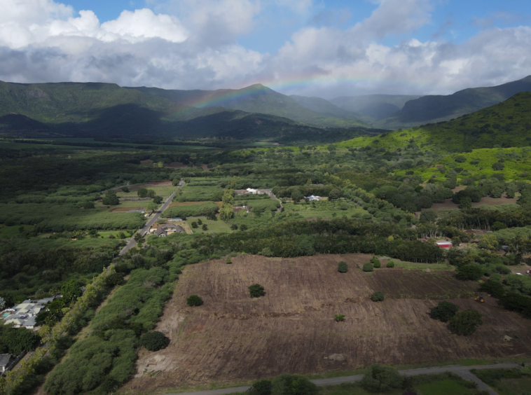 Villas à vendre, île Maurice, Investissement PDS