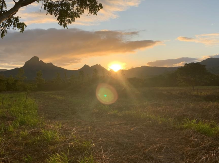 Villas à vendre, île Maurice, Investissement PDS