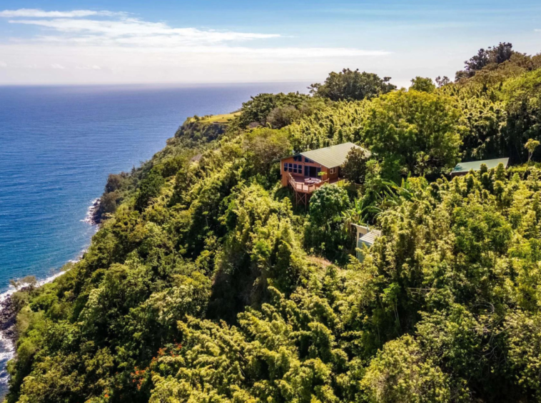 🏝️ Propriété de Rêve en Bord de Mer | Oasis Tropicale à Hawaï