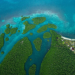 Water Caye : L'Île Exceptionnelle du Belize