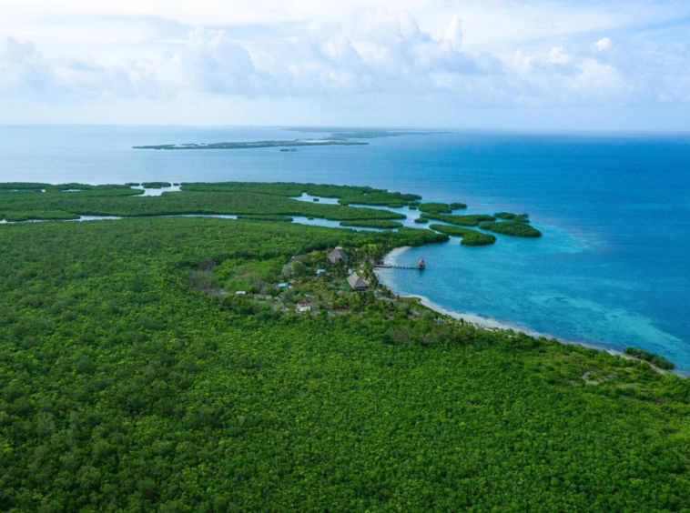 Water Caye : L'Île Exceptionnelle du Belize