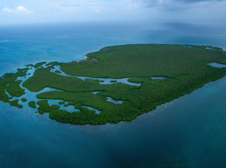 Water Caye : L'Île Exceptionnelle du Belize