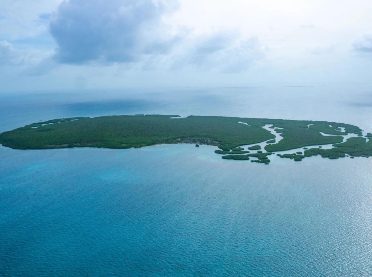 Water Caye : L'Île Exceptionnelle du Belize