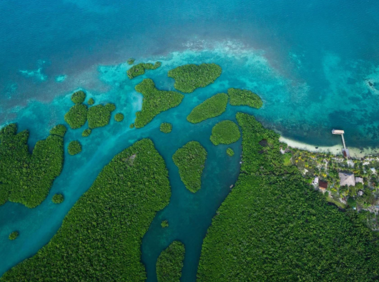 Water Caye : L'Île Exceptionnelle du Belize