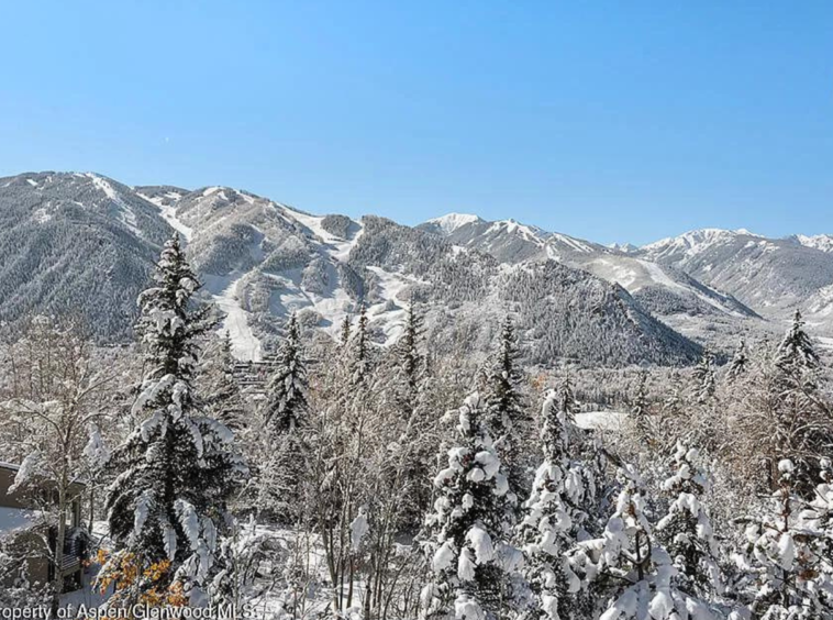 Red Mountain Aspen Colorado