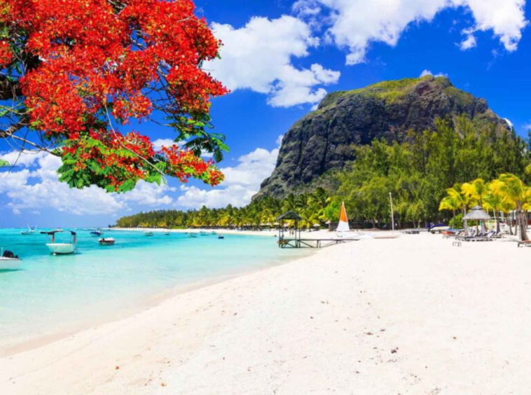 plage grand baie île maurice