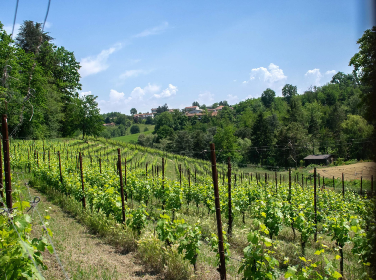 Domaine privé, Asti, Piémont, Italie