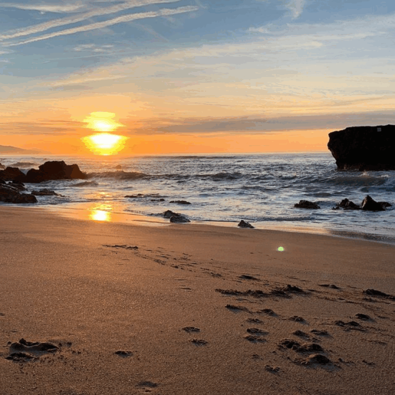 Appartements à vendre À Bidart Biarritz France