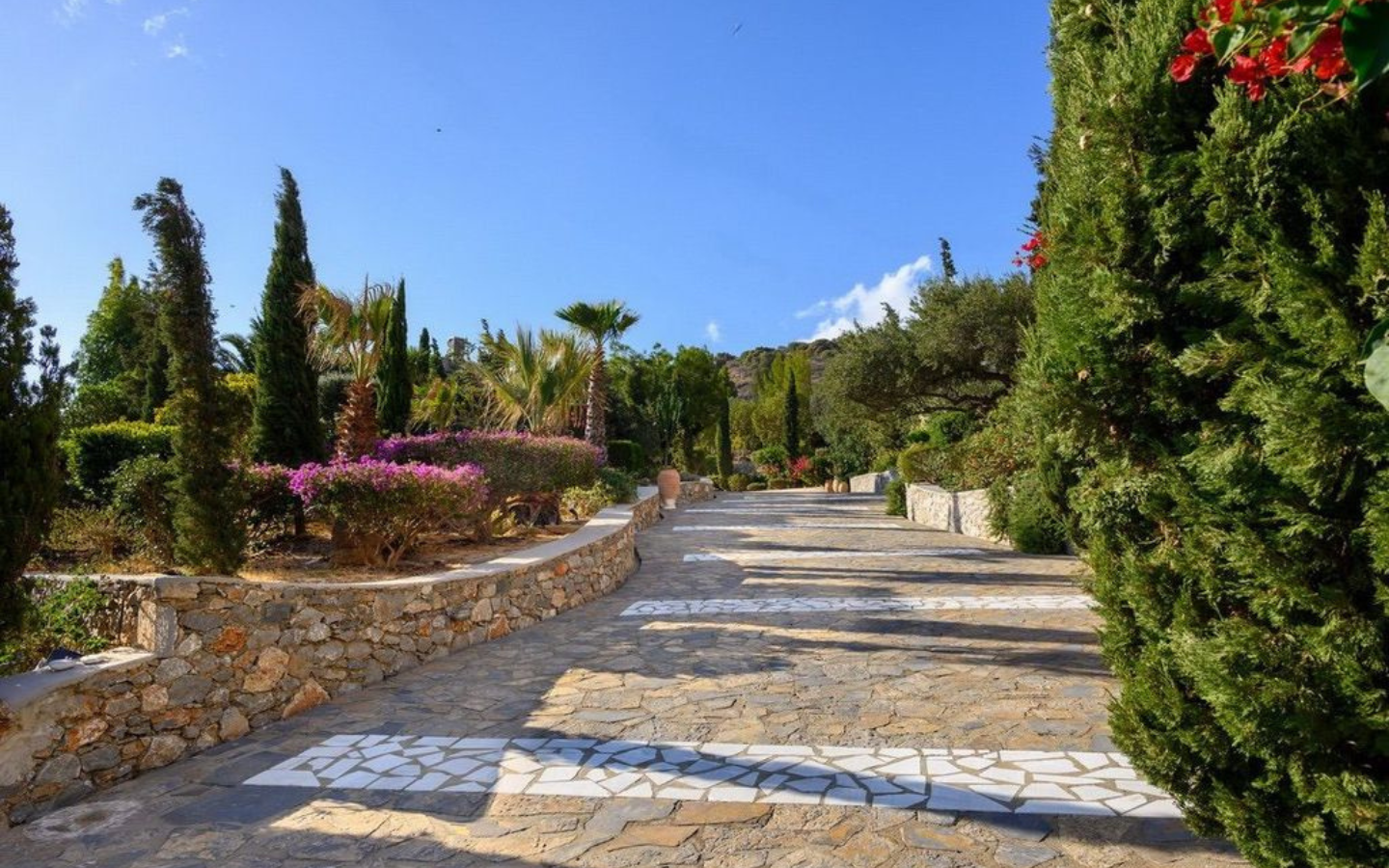 2 villas à vendre Chavgas Plaka Crète Grèce (15) Propriété à vendre à Chavgas, Plaka, en Crète : 2 villas piscine à débordement