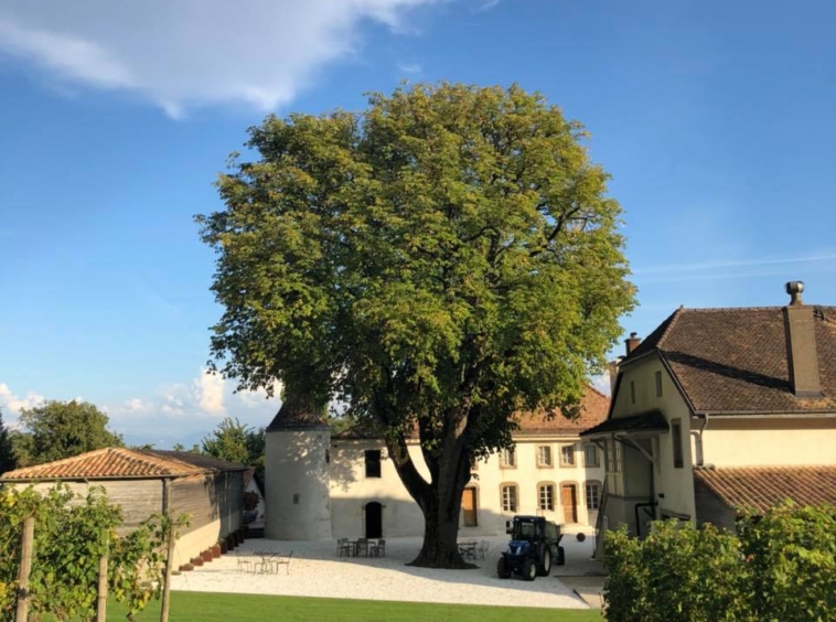 Château Le Rosey - Vignobles - 1183 Bursins - Switzerland