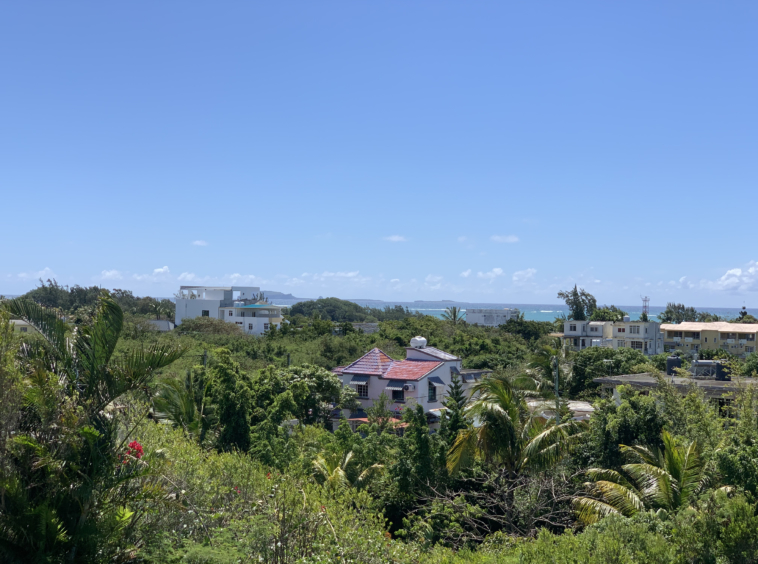 Villa RES de 4 chambres à vendre Grande Gaube | Île Maurice