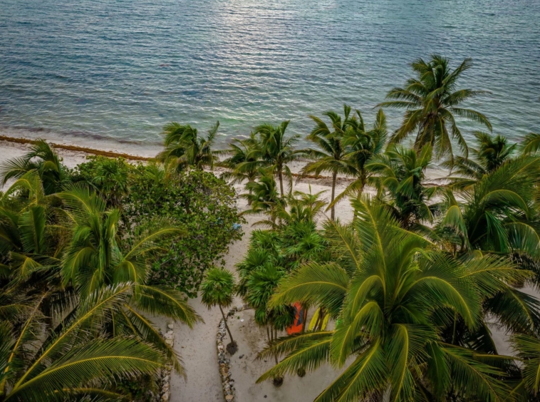 Villa mexicaine bordée de palmiers vous emmène sur votre plage de sable blanc - Mexique