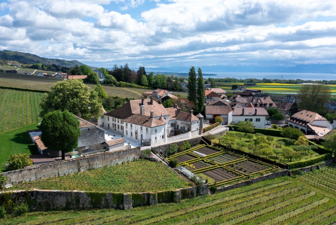 Château Le Rosey - Vignobles - 1183 Bursins - Switzerland