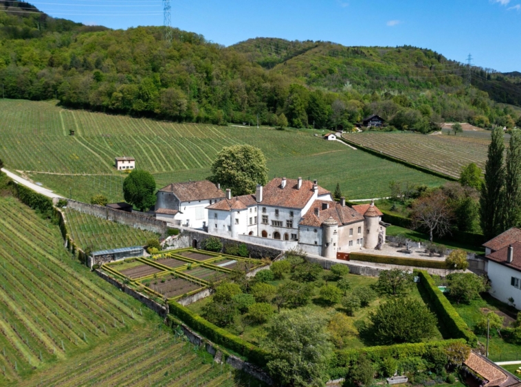 Château Le Rosey - Vignobles - 1183 Bursins - Switzerland