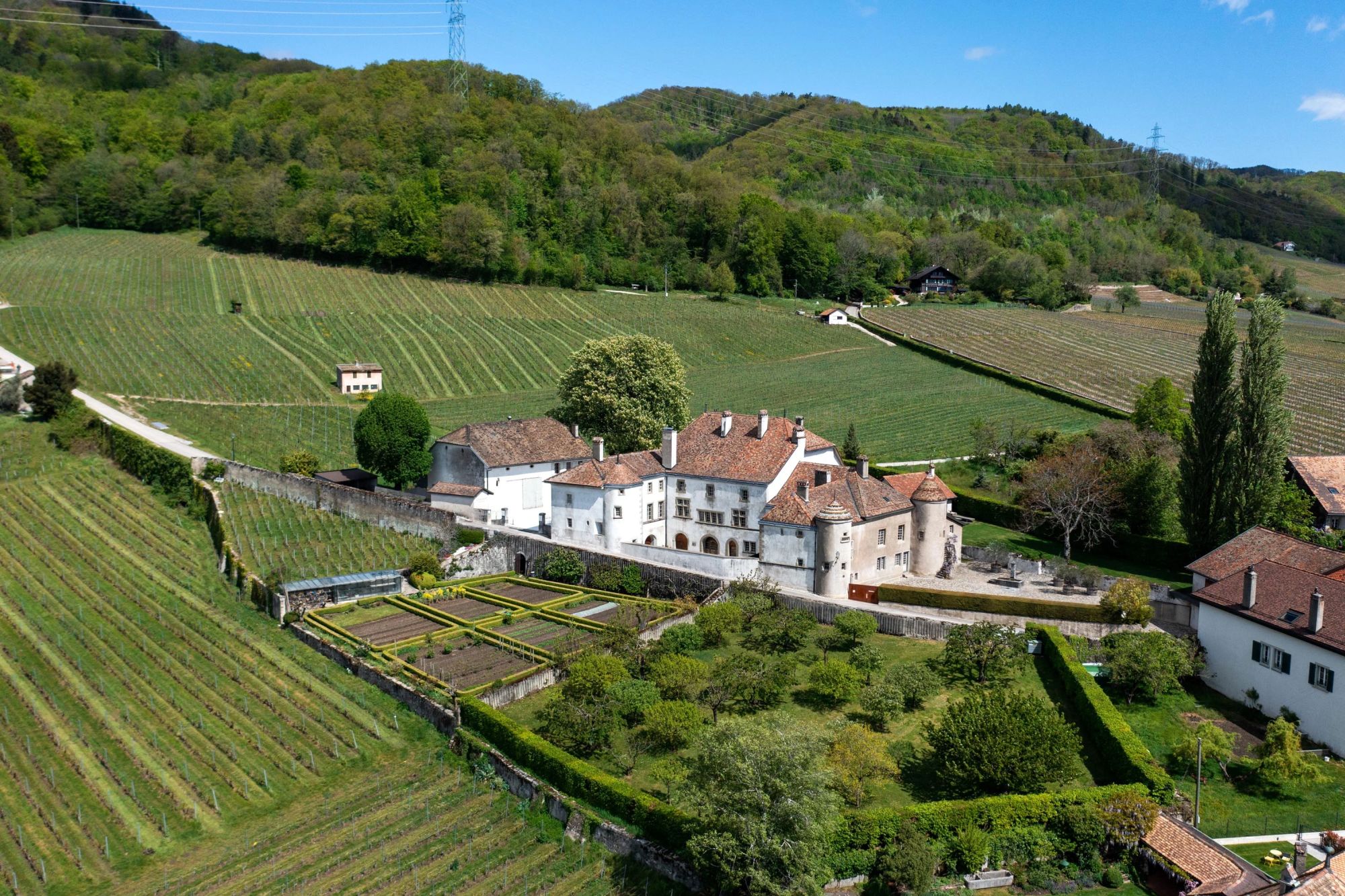 Château Le Rosey - Vignobles - 1183 Bursins - Switzerland