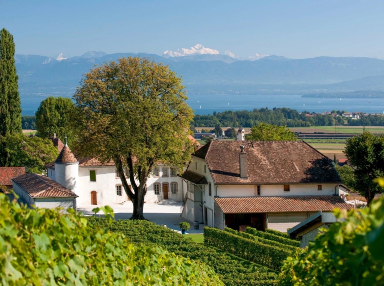 Château Le Rosey - Vignobles - 1183 Bursins - Switzerland