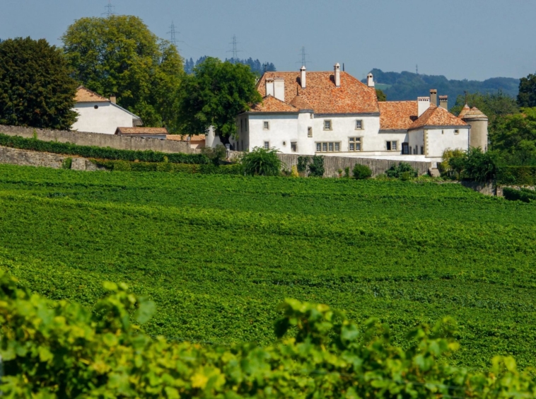 Château Le Rosey - Vignobles - 1183 Bursins - Switzerland